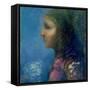 Profile-Odilon Redon-Framed Stretched Canvas