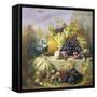 Profusion of Fruit-Eloise Harriet Stannard-Framed Stretched Canvas