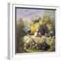 Profusion of Fruit-Eloise Harriet Stannard-Framed Giclee Print