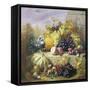 Profusion of Fruit-Eloise Harriet Stannard-Framed Stretched Canvas