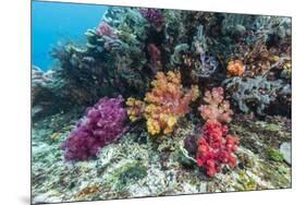 Profusion of hard and soft corals on Tengah Kecil Island, Komodo Nat'l Park, Flores Sea, Indonesia-Michael Nolan-Mounted Photographic Print