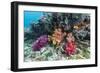 Profusion of hard and soft corals on Tengah Kecil Island, Komodo Nat'l Park, Flores Sea, Indonesia-Michael Nolan-Framed Photographic Print