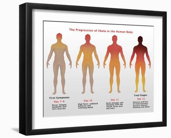 Progression of Ebola, Illustration-Gwen Shockey-Framed Giclee Print