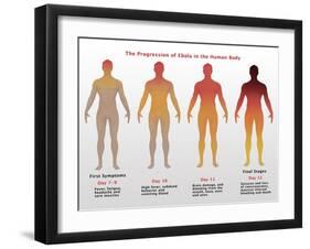 Progression of Ebola, Illustration-Gwen Shockey-Framed Giclee Print