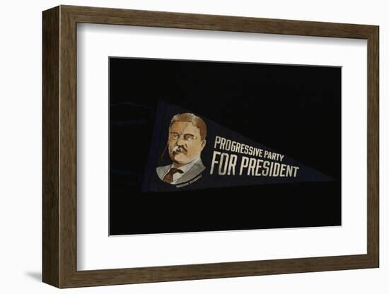 Progressive Party Pendant-David J. Frent-Framed Photographic Print