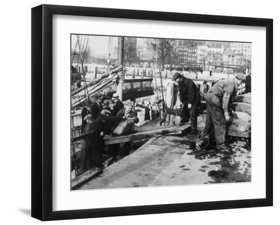 Premium Photographic Print, , large