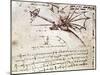 Project for Flapping-Wing Machine-Leonardo da Vinci-Mounted Giclee Print