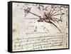 Project for Flapping-Wing Machine-Leonardo da Vinci-Framed Stretched Canvas