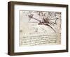 Project for Flapping-Wing Machine-Leonardo da Vinci-Framed Giclee Print