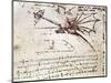 Project for Flapping-Wing Machine-Leonardo da Vinci-Mounted Giclee Print