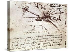 Project for Flapping-Wing Machine-Leonardo da Vinci-Stretched Canvas