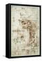 Project for the Farnese Gallery, 16Th Century (Drawing)-Annibale Carracci-Framed Stretched Canvas