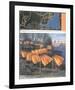 Project for the Gates-Christo-Framed Art Print