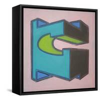 Project Third Dimension 6-Eric Carbrey-Framed Stretched Canvas