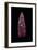 Projectile Point, Clovis Culture, 11,000 B.C.E.-null-Framed Giclee Print