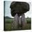 Proleek Dolmen, 21st Century Bc-CM Dixon-Stretched Canvas