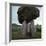 Proleek Dolmen, 21st Century Bc-CM Dixon-Framed Photographic Print