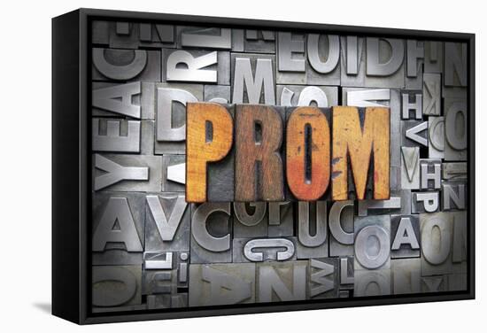 Prom-enterlinedesign-Framed Stretched Canvas