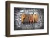 Prom-enterlinedesign-Framed Photographic Print