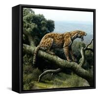 Promegantereon Sabre-tooth Cat, Artwork-Mauricio Anton-Framed Stretched Canvas