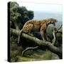 Promegantereon Sabre-tooth Cat, Artwork-Mauricio Anton-Stretched Canvas