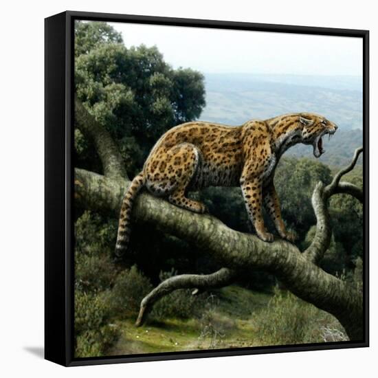 Promegantereon Sabre-tooth Cat, Artwork-Mauricio Anton-Framed Stretched Canvas