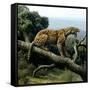 Promegantereon Sabre-tooth Cat, Artwork-Mauricio Anton-Framed Stretched Canvas