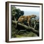 Promegantereon Sabre-tooth Cat, Artwork-Mauricio Anton-Framed Premium Photographic Print