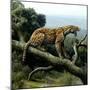 Promegantereon Sabre-tooth Cat, Artwork-Mauricio Anton-Mounted Premium Photographic Print