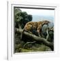 Promegantereon Sabre-tooth Cat, Artwork-Mauricio Anton-Framed Photographic Print