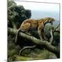 Promegantereon Sabre-tooth Cat, Artwork-Mauricio Anton-Mounted Photographic Print