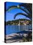 Promenade and Harbour, Cavtat, Croatia, Europe-Nelly Boyd-Stretched Canvas
