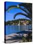 Promenade and Harbour, Cavtat, Croatia, Europe-Nelly Boyd-Stretched Canvas