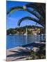 Promenade and Harbour, Cavtat, Croatia, Europe-Nelly Boyd-Mounted Photographic Print