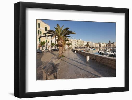 Promenade at the Harbour, Old Town, Trani, Le Murge, Barletta-Andria-Trani District-Markus Lange-Framed Photographic Print