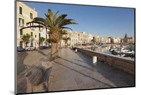 Promenade at the Harbour, Old Town, Trani, Le Murge, Barletta-Andria-Trani District-Markus Lange-Mounted Photographic Print