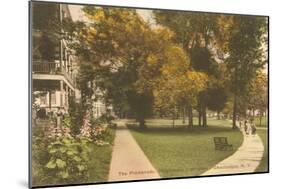 Promenade, Chautauqua, New York-null-Mounted Art Print