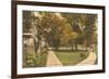 Promenade, Chautauqua, New York-null-Framed Art Print