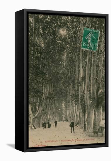 Promenade des Platanes in Perpignan. Postcard Sent in 1913-French Photographer-Framed Stretched Canvas