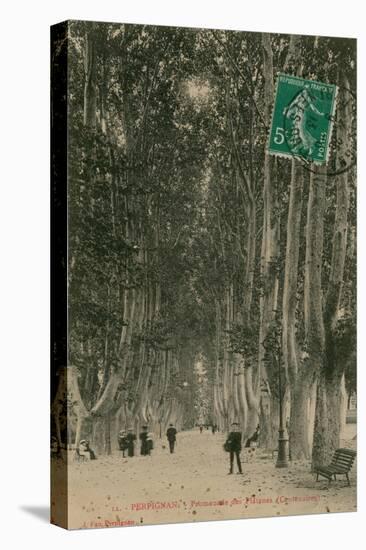 Promenade des Platanes in Perpignan. Postcard Sent in 1913-French Photographer-Stretched Canvas