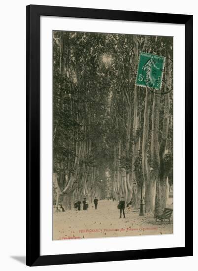 Promenade des Platanes in Perpignan. Postcard Sent in 1913-French Photographer-Framed Giclee Print