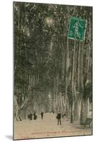 Promenade des Platanes in Perpignan. Postcard Sent in 1913-French Photographer-Mounted Giclee Print