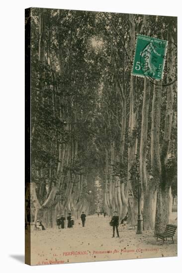 Promenade des Platanes in Perpignan. Postcard Sent in 1913-French Photographer-Stretched Canvas