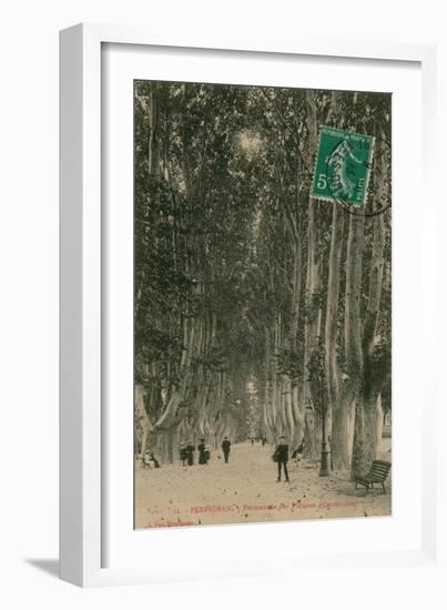 Promenade des Platanes in Perpignan. Postcard Sent in 1913-French Photographer-Framed Giclee Print