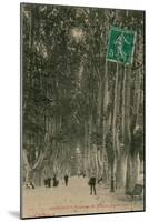 Promenade des Platanes in Perpignan. Postcard Sent in 1913-French Photographer-Mounted Giclee Print