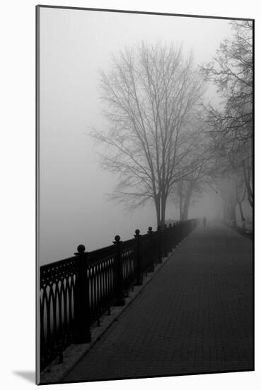 Promenade in the Mist-null-Mounted Art Print