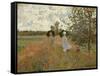 Promenade Near Argenteuil, 1873-Claude Monet-Framed Stretched Canvas