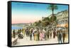 Promenade, Nice, France-null-Framed Stretched Canvas