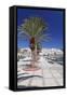 Promenade on Seaside, Sitia, Eastern Crete, Crete, Greek Islands, Greece, Europe-Markus Lange-Framed Stretched Canvas