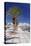 Promenade on Seaside, Sitia, Eastern Crete, Crete, Greek Islands, Greece, Europe-Markus Lange-Stretched Canvas